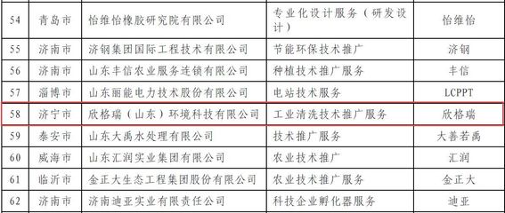 欣格瑞 以技術鑄就品牌，化學清洗服務再獲權威認可